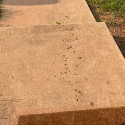 greazy808's profile picture. greazy dick b8tor #exhibitionist #publicb8 #manscent  #pocketpussyplay #smokenstroke #cumshooter #lonerstoner #blerd who loves nature & cum culture