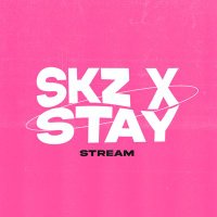 SKZ X STAY • 樂-STAR(@skzxstaystream) 's Twitter Profile Photo