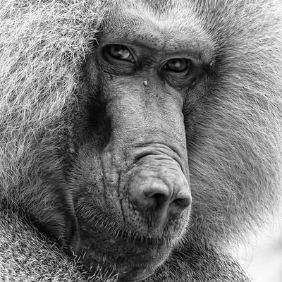 zanele_katamo's profile picture. Humility is the best teacher 🙏

MY LIFE IS BETTER AS A HOMEMAKER #farmlife