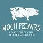 Moch Cymreig Fedwen(@MFedwen) 's Twitter Profile Photo