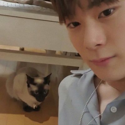 CinthiaChvez19's profile picture. no work , no MONEY , no Sanha 🥸