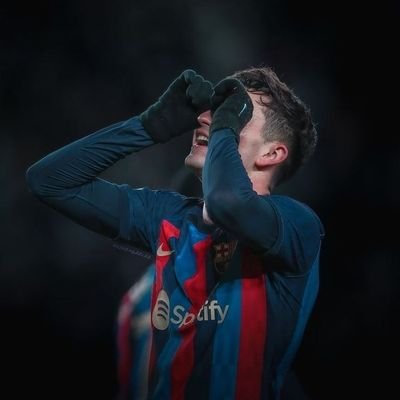 fcbvico Profile Picture