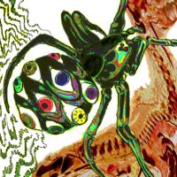 umlaut (@autoparasitoid) 's Twitter Profile Photo umlaut (@autoparasitoid) 's Twitter Profile Photo