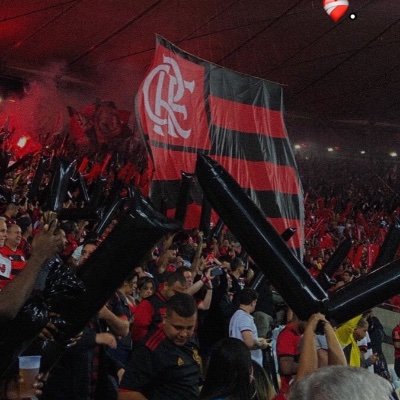 AleksanderMath2's profile picture. @Flamengo