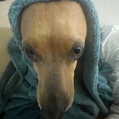 madjg99's profile picture. essentially a stan account pt 2. she/they