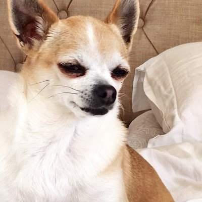 Huggi_eP's profile picture. 