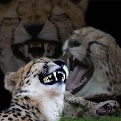 k1nney5's profile picture. 