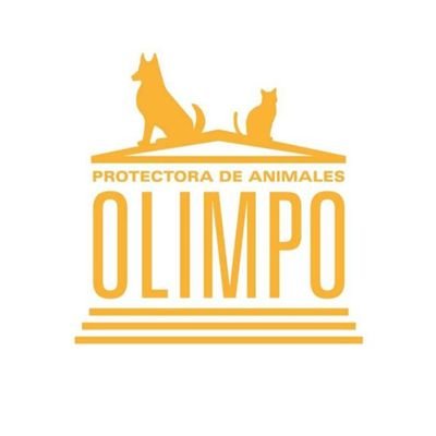 Dedicada al rescate y protección animal.
📍Lorca (Murcia)
Cuenta: ES9021007849800200075494