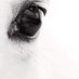 . (@varolusumuzz) Twitter profile photo . (@varolusumuzz) Twitter profile photo