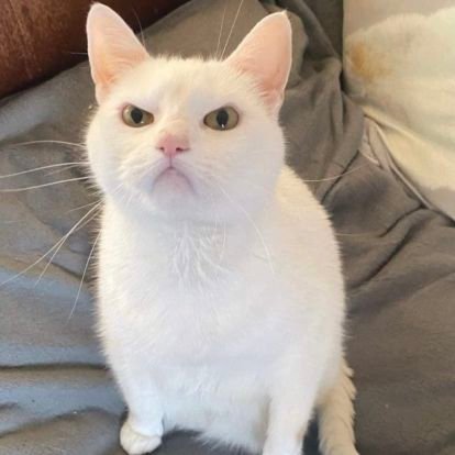 Psuper0's profile picture. 