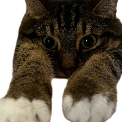 CatFartz's profile picture. 