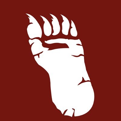 BIGFOOT_game Profile Picture