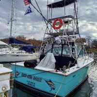 DREAM BIG AGAIN🚤🐠🏝🍺🤿 (@p0escr0ws) 's Twitter Profile