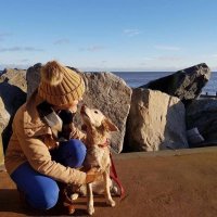 Laura Gale (@drlauragale) 's Twitter Profile