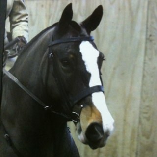 JoyFaull's profile picture. 