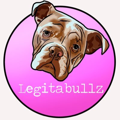 💎English Bulldogs 💎Cockapoos 🧬Top bloodlines, healthy, rare colours 🩶 🥇Qaulity 📍Essex based #bulldog #cockapoo