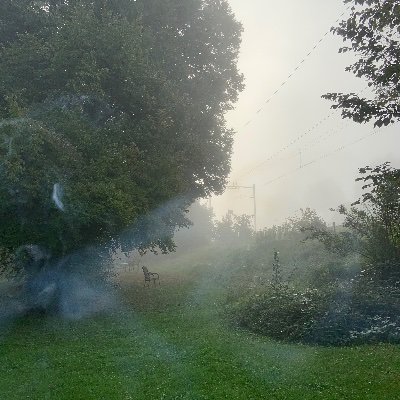 noemi85963278's profile picture. ^^