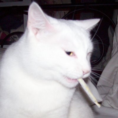 Diff10118's profile picture. BA - 21
lol