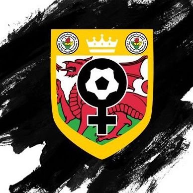 Official account of #HerGameToo Ammanford AFC 🖤🤍
 Football is a game for everyone ⚽️
@HayleyJayneRees | hgtammanford@gmail.com
