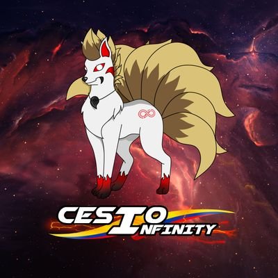 CESIO INFINITY Profile