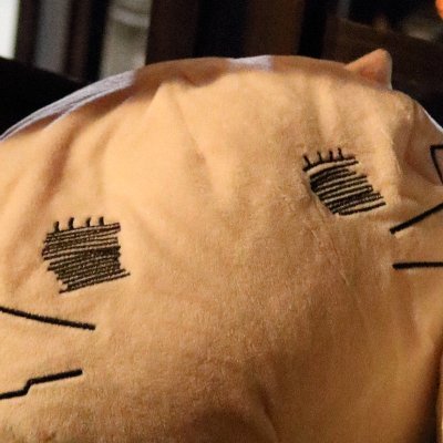 momoiroさんのプロフィール画像