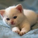 Ashli Smith - @singlWhitegirl - Twitter