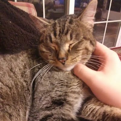 AustinJens45944's profile picture. 