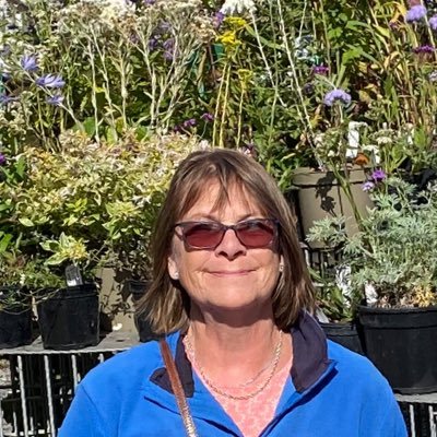 Retired and loving it! Enjoy spending time with the family, walking my 2 JR/Shih Tzu dogs Archie & Murphy, gardening and photographing the birds in my garden.