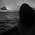 . (@aml_zwft) Twitter profile photo