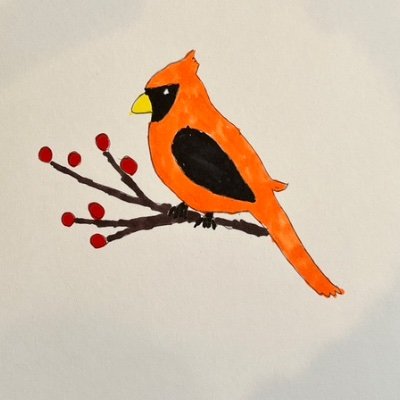 Orange744570737's profile picture. No warps?