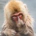 estupido (@alexis_segarra) Twitter profile photo estupido (@alexis_segarra) Twitter profile photo