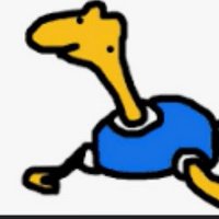 shiny shuckle gaming (@shinyshucklgame) 's Twitter Profile