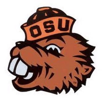 Undisputed Goss Stadium soggy shoes champion. Regular center field party deck attendee. 🦫⚾️🧡🖤