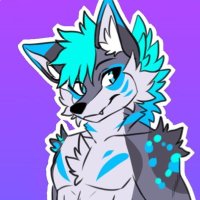 Seek (@seek) 's Twitter Profile