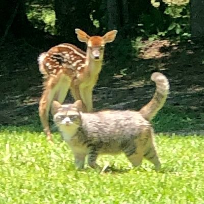 SouthernBe81181's profile picture. 