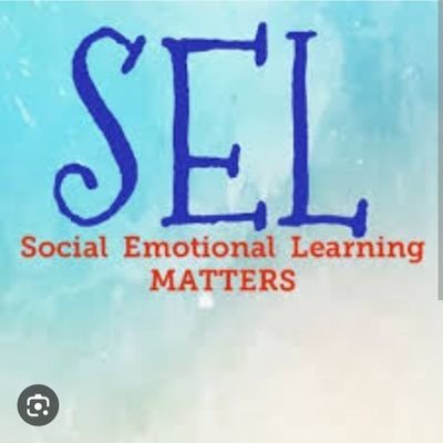 Social Emotional Literacy involves self awareness, self control, and interpersonal skills that are needed around family, friends, and in the workplace.