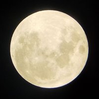 mimi (@miminyan0901) 's Twitter Profile