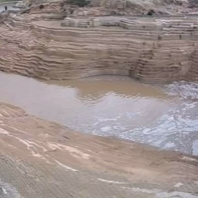 mmdly160428's profile picture. 