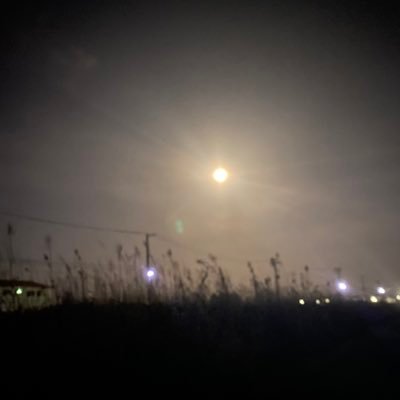 luckydogg070's profile picture. 動物RTマンです。