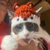 Claudia Camacho (@gatoclau71) Twitter profile photo Claudia Camacho (@gatoclau71) Twitter profile photo