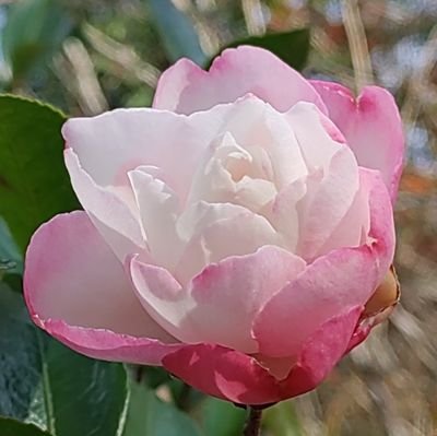 20↑高卒済 FGO用垢 基本琴線に触れれば何でも食べる雑食。
好き:クー・フーリンズ、エミヤズ、カウラヴァ、新シン、始皇帝etc.etc.