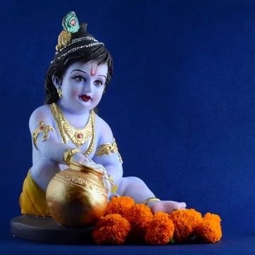 Shivam1946468's profile picture. || धर्मो रक्षति रक्षितः ||