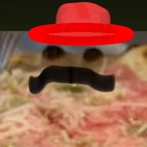 TonioNemo's profile picture. 