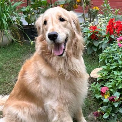 Shikzeee's profile picture. I make surface pattern designs and some funstuff. I draw live on Twitch every other day and have the best chat! ❤️💅✨