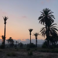 Diego García (@aisoydiego) 's Twitter Profile