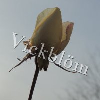 Vickblöm (@vickblom) 's Twitter Profile