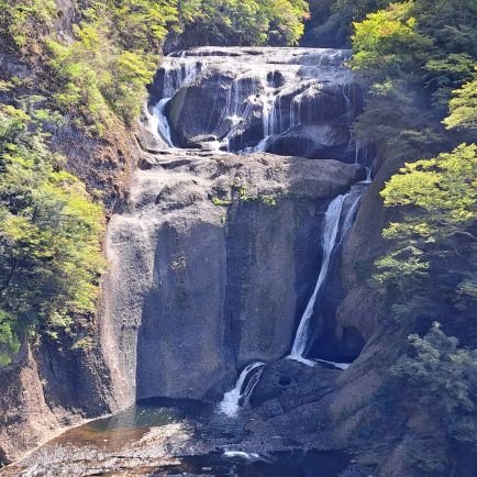 kakaodi0's profile picture. こんにちは