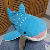 KARAS 卡拉夏 (@karas_kalasha) 's Twitter Profile Photo