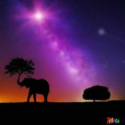 AnanthaMan68095's profile picture. 