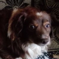 jaro (@jaro79704266547) 's Twitter Profile Photo jaro (@jaro79704266547) 's Twitter Profile Photo
